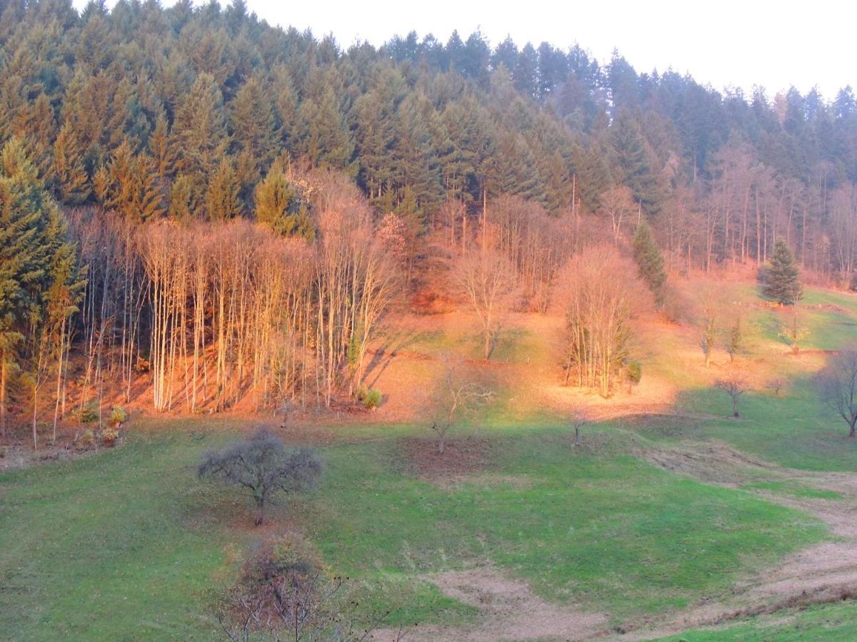 Bed and Breakfast Au Bout Du Chemin Hohrod Zewnętrze zdjęcie